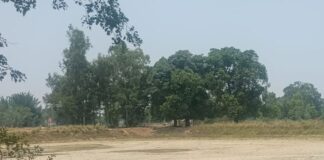 विशेश्वरगंज ब्लॉक के अधिकांश अमृत सरोवर सूखे:भीषण गर्मी में पशु-पक्षियों और ग्रामीणों को हो रही परेशानी