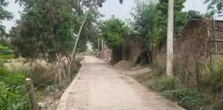 इंटरलॉकिंग सड़क रिपेयर के 3 माह में धंसी, दीवार गिरी:लोहारन पुरवा के प्रधान बोले- कार्यकाल अब कुछ ही दिनों का बचा है, किसी तरह पूरा होने दीजिए