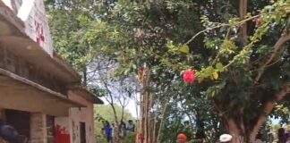 सिरसिया में तेंदुआ गांव के मंदिर में घुसा:दो लोगों पर किया हमला, पांच घंटे से रेस्क्यू अभियान जारी