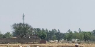 धान की नर्सरी तैयार करने में जुटे किसान:नौतपा में तपकर बना रहे क्यारियां, बारिश का इंतजार