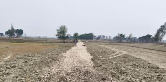 बस्ती के पर्सिया गांव में सड़क निर्माण:खराब सड़क पर गिट्टी बिछाई, राहगीरों को मिलेगी राहत