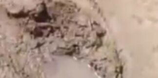 आसरा आवास परिसर की सड़कें जर्जर:निवासियों को आवागमन में दिक्कत, एसडीएम ने दिए जांच के निर्देश