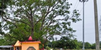 लगातार बारिश में उखड़ी सड़कें:विशेश्वरगंज में ग्रामीणों ने गुणवत्तापूर्ण निर्माण की मांग की
