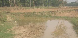बेलभरिया गांव में सड़क-जल निकासी की गंभीर समस्या:जिम्मेदारों की उपेक्षा से ग्रामीण आक्रोशित, आवागमन प्रभावित