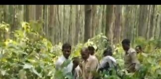 जंगल में पेड़ से लटका मिला महिला का शव:महराजगंज में घरेलू विवाद की बात सामने आई, पोस्टमार्टम रिपोर्ट का इंतजार