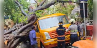 दर्दनाक हादसा: चलती स्कूल बस पर गिरा पेड़ , एक छात्रा की मौत, कई बच्चे घायल