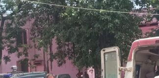 इकौना में बाइक अनियंत्रित होकर पलटी:हादसे में चालक गंभीर घायल, इकौना-वीरपुर मार्ग पर हादसा; बेहतर इलाज के लिए बहराइच रेफर