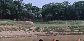 इटवा के पेडारी में विशाल यज्ञ का आयोजन:कलश यात्रा में बड़ी संख्या में श्रद्धालु परसोहन घाट पहुंचे