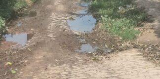 श्रावस्ती के कैदुवा में सड़क टूटी:जलजमाव से आवागमन बाधित, बीमारियों का खतरा बढ़ा