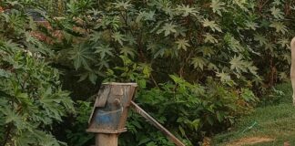 महराजगंज में NH730 पर लगा सरकारी नल खराब:नौतपा में राहगीरों के सुखे गले, प्यास बुझाने के लिए खरीद रहे बोतल वाला पानी