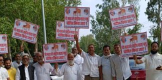 गाय को राष्ट्रीय पशु घोषित करने की मांग:शोहरतगढ़ में फाउंडेशन ने जिलाधिकारी को सौंपा ज्ञापन