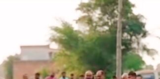 नेशनल हाईवे पर मिला बुजुर्ग का शव:हर्रैया का रहने वाला है, पुलिस जांच में जुटी