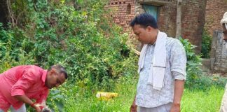 बनकटी में 10 दिन बाद आवारा पशु का उपचार:महादेवा चौराहे पर गले में रस्सी से हुए गहरे घाव का इलाज