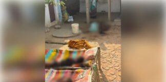 पत्नी और दो बच्चों की हत्या कर युवक ने ट्रेन से कटकर दी जान