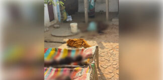 मुरैना: पत्नी और दो मासूम बच्चों की हत्या के बाद युवक ने ट्रेन के आगे कूदकर दी जान
