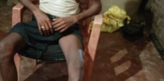 बहराइच में पागल कुत्ते का हमला:2 बच्चों सहित एक व्यक्ति और एक भैंस घायल, ग्रामीणों ने कुत्ते को मारा