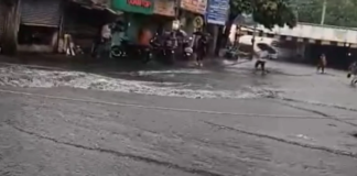 मुंबई- मनसे नेता यशवंत किलेदार ने मानसून से पहले जलभराव को लेकर बीएमसी पर निशाना साधा