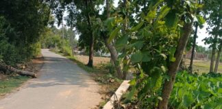 मूड़ाडीहा खुर्द में 4 दिन से बिजली गुल:आंधी-बारिश से टूटे खंभे, ग्रामीण उमस भरी गर्मी से परेशान