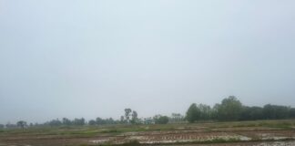 सिद्धार्थनगर में बारिश, गर्मी से मिली राहत:धान की रोपाई की उम्मीद बढ़ी, तापमान में गिरावट दर्ज