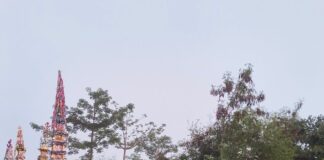 बहराइच में मोहर्रम का जुलूस निकला:कर्बला शहीदों की याद में खैरी समैसा में मातम
