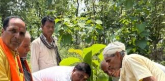 सेवरा में भाजपा नेता ने पौधा लगाया:’एक पेड़ मां के नाम’ अभियान से पर्यावरण संरक्षण का संदेश