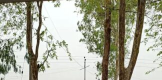 बढ़नी में मूसलाधार बारिश और आंधी:गर्मी से राहत, किसानों को फायदा