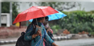 मध्य प्रदेश: 45 जिलों में आज आंधी-बारिश का अलर्ट, पूरे प्रदेश में पहुंचेगा मानसून