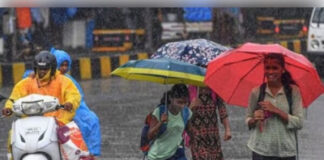 मध्य प्रदेश: 6 जिलों में भारी बारिश का अलर्ट, 40 जिलों में अब भी मानसून का इंतजार