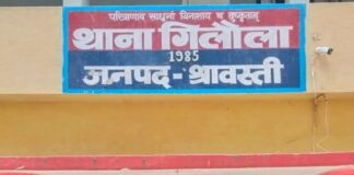 श्रावस्ती में सोलर पैनल चोरी का आरोपी गिरफ्तार:प्राथमिक विद्यालय तिलकपुर से चुराई गई तीन प्लेटें बरामद