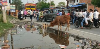 हल्की बारिश में NH-730 किनारे पानी:राहगीरों पर पड़ रहा छिंटा, दुर्गंध से दुकानदार परेशान