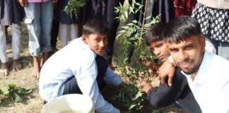निजी स्कूल में विश्व पर्यावरण दिवस पर 51 पौधे रोपे:पर्यावरण संरक्षण के लिए छात्रों और शिक्षकों ने लिया संकल्प