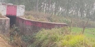 गोडरी माइनर में पानी नहीं:गिलौला के किसान परेशान, सिंचाई विभाग से पानी छोड़ने की मांग