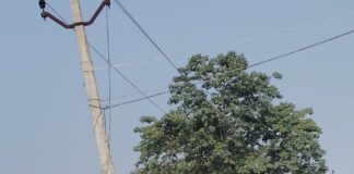 बलवापुर बाजार में हाईटेंशन लाइन के नीचे दुकानें:विद्युत हादसे का खतरा, दुकानदार बेखौफ कर रहे काम