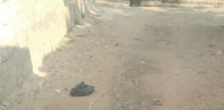 दिकौली में सड़क पर गड्ढा:पाइपलाइन खुदाई से बना, मच्छर पनपने का खतरा
