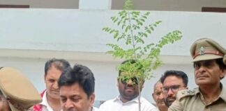 महराजगंज में विश्व पर्यावरण दिवस पर संरक्षण का लिया संकल्प:पौधरोपण, जल बचाव और प्लास्टिक मुक्त समाज बनाने की शपथ