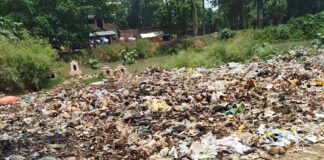 नहर किनारे कूड़ा फेंका जा रहा:सिंदुरिया-शिकारपुर मार्ग पर बढ़ी गंदगी, संक्रामक बीमारियों का खतरा