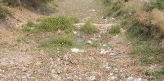 भारत भारी में भीषण गर्मी से जनजीवन अस्त-व्यस्त:मानसून में देरी से सूख रही धान की नर्सरी, बारिश के अभाव में नहर और तालाब हुए बेपानी