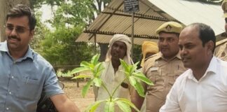 भानपुर तहसील परिसर में एसडीएम-तहसीलदार ने किया पौधरोपण:चितवन, गुलमोहर सहित कई पौधे लगाए गए