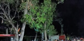 पोखरा बाजार हनुमान गढ़ी मंदिर में भंडारा:भक्तों ने लिया प्रसाद, सद्भावना का संदेश