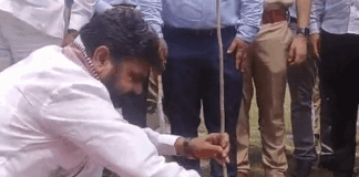 पौधारोपण के साथ विकसित कृषि संकल्प अभियान का शुभारंभ:महराजगंज में विश्व पर्यावरण दिवस पर मंडी परिसर में पौधारोपण, प्रभारी मंत्री ने पर्यावरण संरक्षण का दिया संदेश