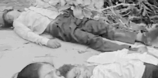 तेज रफ्तार बाइक पुलिया से टकराई, दो युवकों की मौत:सिद्धार्थनगर में हादसा, रिश्तेदारी में शामिल जा रहे थे बस्ती के युवक