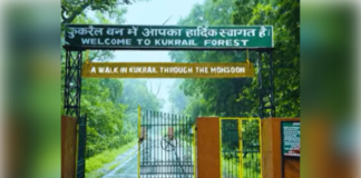 ‘एक पेड़ मां के नाम’ की मुहिम पर सीएम योगी कल कुकरैल में रोपेंगे वृहद हरियाली का बीज