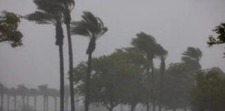 Monsoon Update: यूपी-उत्तराखंड में 2 जुलाई तक होगी मानसून की एंट्री, जानें कब और कहां होगी बारिश
