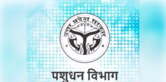 स्लॉटर हाउसों में बदलेंगी तैनातियां, शासनादेश के बाद पशुपालन विभाग में बढ़ी हलचल