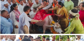 कान्हा गौशाला पहुंचे राज्यमंत्री कृष्णा पासवान, गोपूजन कर व्यवस्थाओं का लिया जायजा