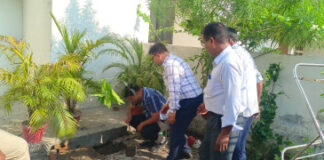 भातखण्डे विवि में विश्व पर्यावरण दिवस पर हुआ क्षारोपण