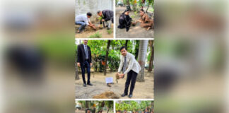विश्व पर्यावरण दिवस पर बिजनौर के न्यायालय परिसर और विद्यालय में वृक्षारोपण