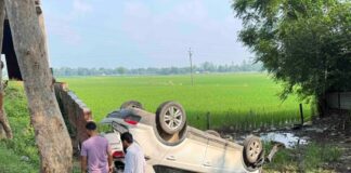 नीलगाय बचाने में कार पलटी, दो यात्री सुरक्षित:फैजाबाद से गौर लौटते समय हुआ हादसा, वाहन क्षतिग्रस्त