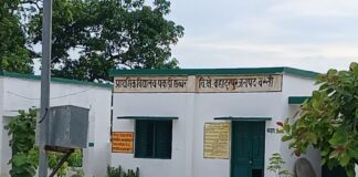 बहादुरपुर में वन महोत्सव पर स्कूली बच्चों संग पौधरोपण:बीएसए समेत कई अधिकारी रहेंगे मौजूद, पर्यावरण जागरूकता कार्यक्रम