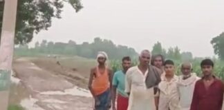 बहराइच में करंट लगने से भैंस की मौत:किसान को नुकसान, राजस्व और बिजली विभाग ने जांच की